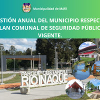 La gestión anual del municipio respecto al plan comunal de seguridad pública vigente.